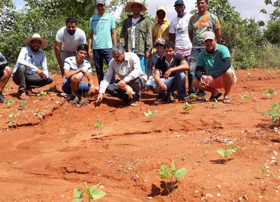 Assistência técnica voltada para Agroecologia promove agricultura familiar sustentável no Território Irecê