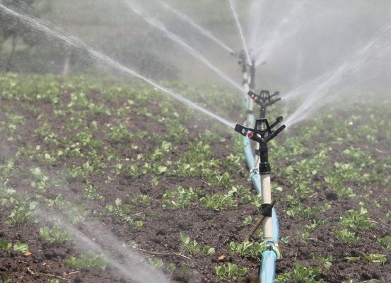 Agricultura irrigada gera disputa por água na Bahia