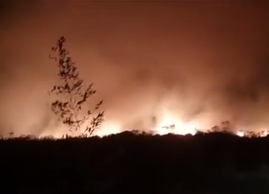 Chapada: Fogo atinge projeto Sempre Viva em Mucugê