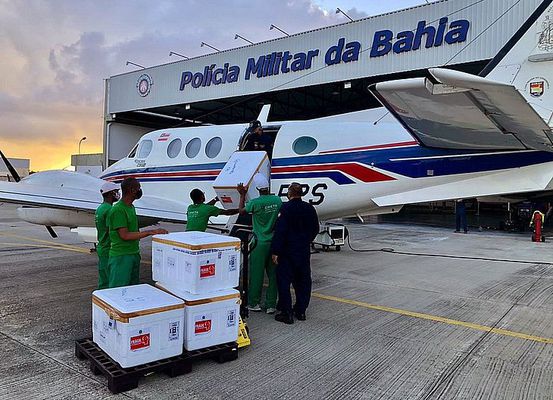 Avião que transportava vacina na Bahia sofre acidente ao bater em jumento