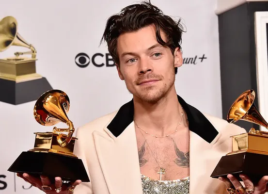 Brasileira é condenada à prisão por perseguir o cantor Harry Styles