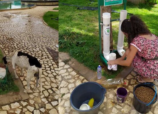 Projeto em Canarana ajuda animais abandonados com comedouros e bebedouros