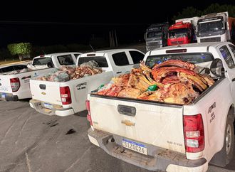 Fiscalização apreende quatro toneladas de produtos ilegais de origem animal