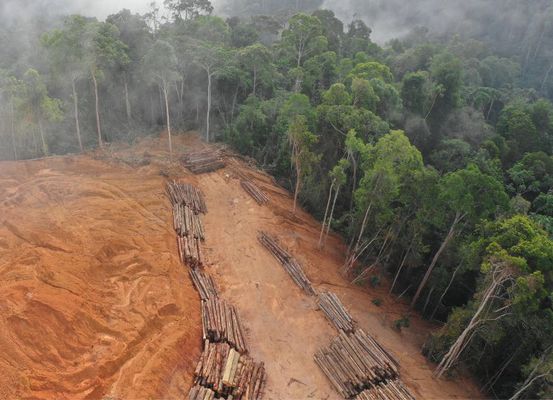 Governo revoga ato que liberava extração de madeira em terra indígena