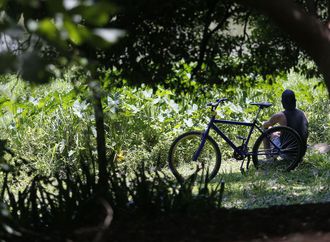 Outono começa com previsão de temperaturas acima da média