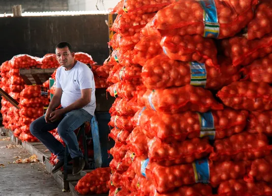 Região de Irecê registra alta nos preços da cebola